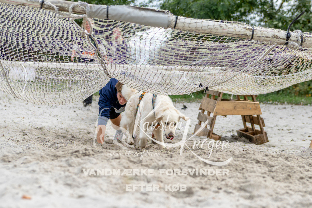 1520_ZZ94381 | kk-dogfotos