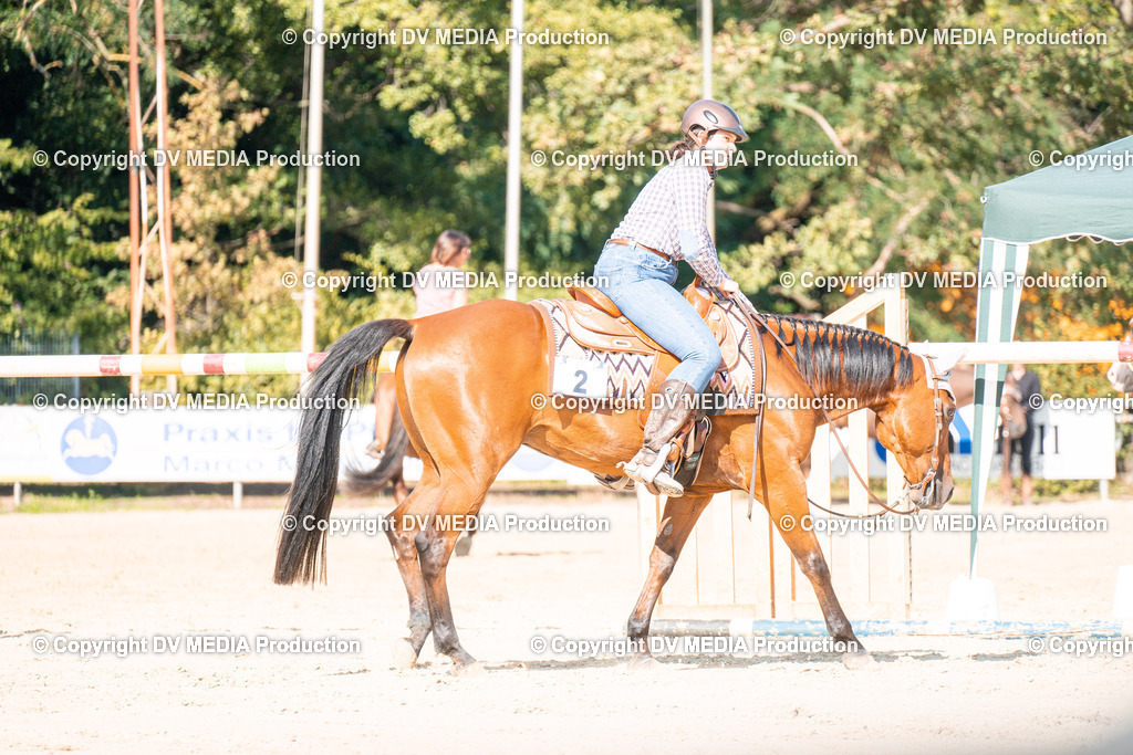 ZH100694 | dv-media-shop - Realisiert mit Pictrs.com