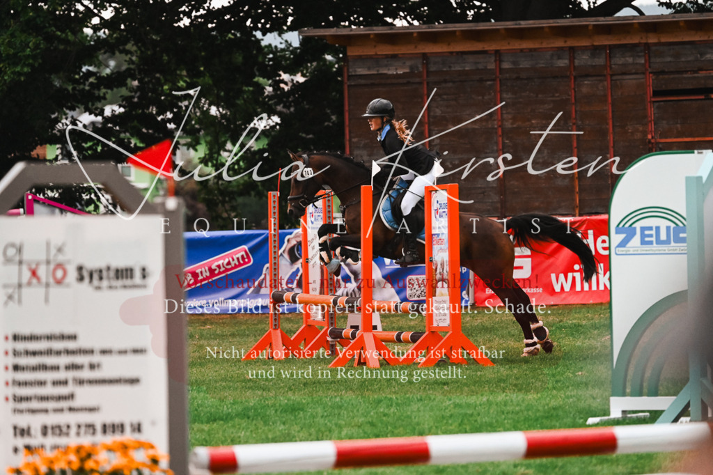 DSC_6166 | Pferde- und Turnierfotografie in Westsachsen. Pferdeportraits, Auftragszeichnungen und intuitive Kunst.