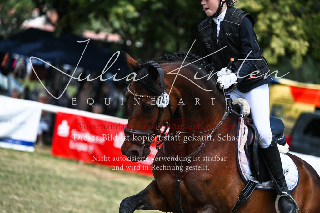 DSC_9645 | Pferde- und Turnierfotografie in Westsachsen. Pferdeportraits, Auftragszeichnungen und intuitive Kunst.