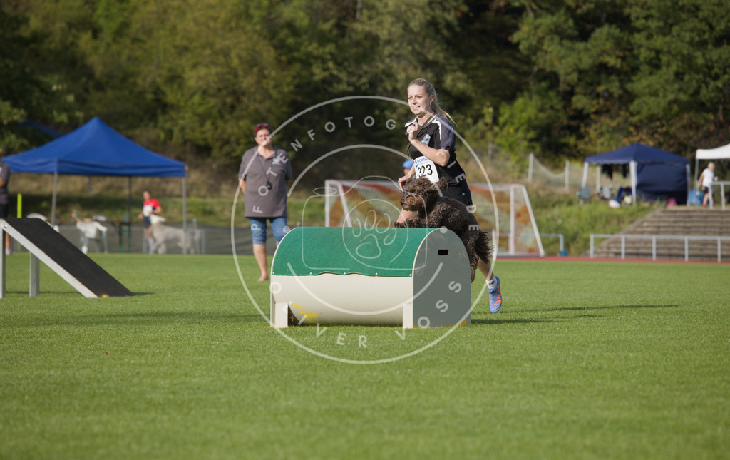 0L8A3985 | Hundefotografie, Tierfotograf, Pfotenfotografie, Fotoshooting Hund, Hunde Portrait, Hundesport, Hundeportraits, Heideshooting, Hunde, Sportfotograf, Hundefotograf, Turnierhundsport, THS,  - Realisiert mit Pictrs.com