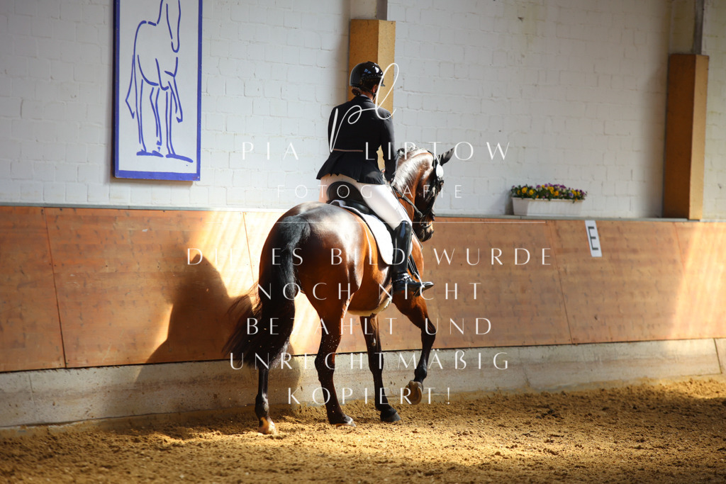 IMGT7302 | pl-fotografie