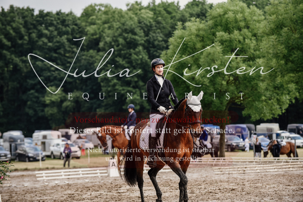DSC_9849 | Pferde- und Turnierfotografie in Westsachsen. Pferdeportraits, Auftragszeichnungen und intuitive Kunst.