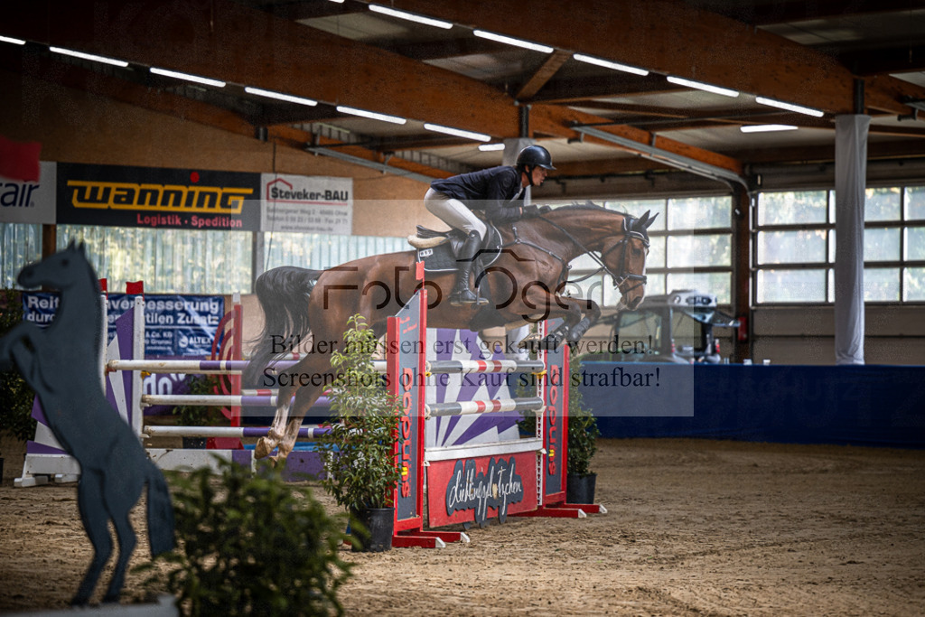 DOS_0080 | Entdecke hochwertige Reitturnierfotos von Foto Oger. Professionell, emotional und authentisch – jetzt Lieblingsmomente im Shop bestellen.Deutschlandweite Turnierfotografie. - Realisiert mit Pictrs.com