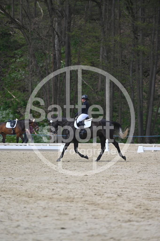 DSC_3018 | sattelsport - Realisiert mit Pictrs.com