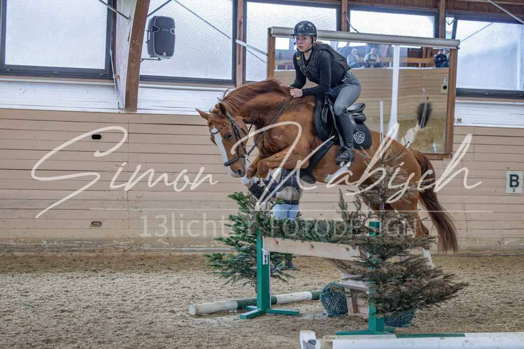 20260222-_3LI2348 | Tierfotografie Pferde, Hunde, Katzen, Haustiere.
Turnierfotografie Reitturniere, Reiten, Springreiten, Dressur in Hanau, dem Main-Kinzig-Kreis und dem Rhein-Main- Gebiet um Frankfurt