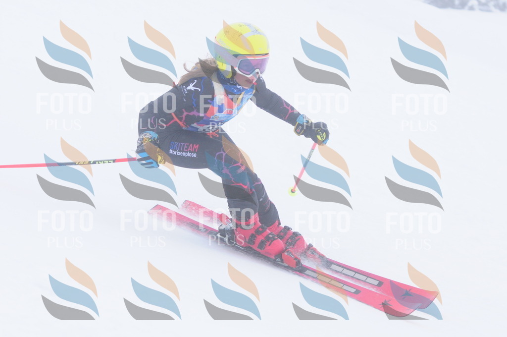 C3485 | holidayphoto