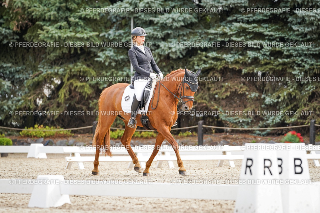 DSC01400 | Pferdegrafie