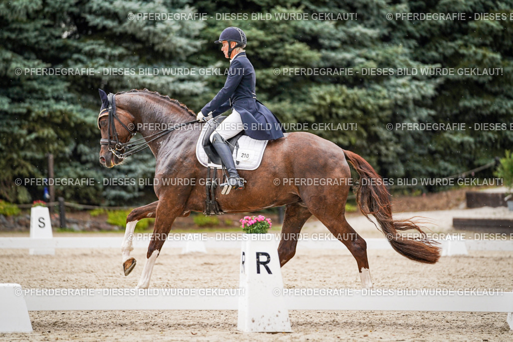 DSC07844 | Pferdegrafie