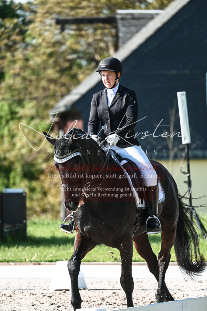 20230514_JK-Röhrsdorf-18-143 | Pferde- und Turnierfotografie in Westsachsen. Pferdeportraits, Auftragszeichnungen und intuitive Kunst.