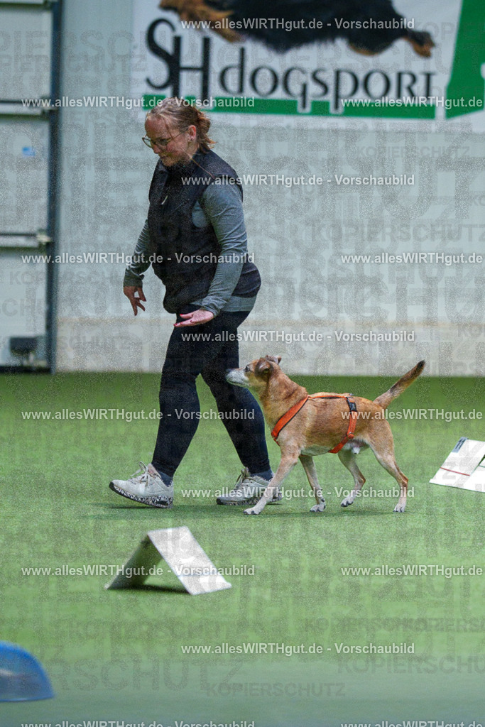 7R506206 | Professionelle Tierfotografie in Mönchengladbach von Daniel Wirth (allesWIRTHgut). Liebevolle & natürliche Bilder von Hunden & Katzen für unvergessliche Erinnerungen.