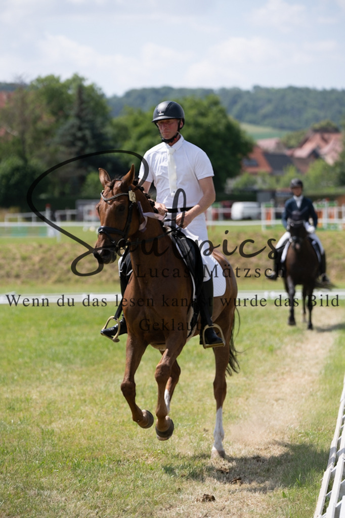 A7V09920 | Pferdefotograf