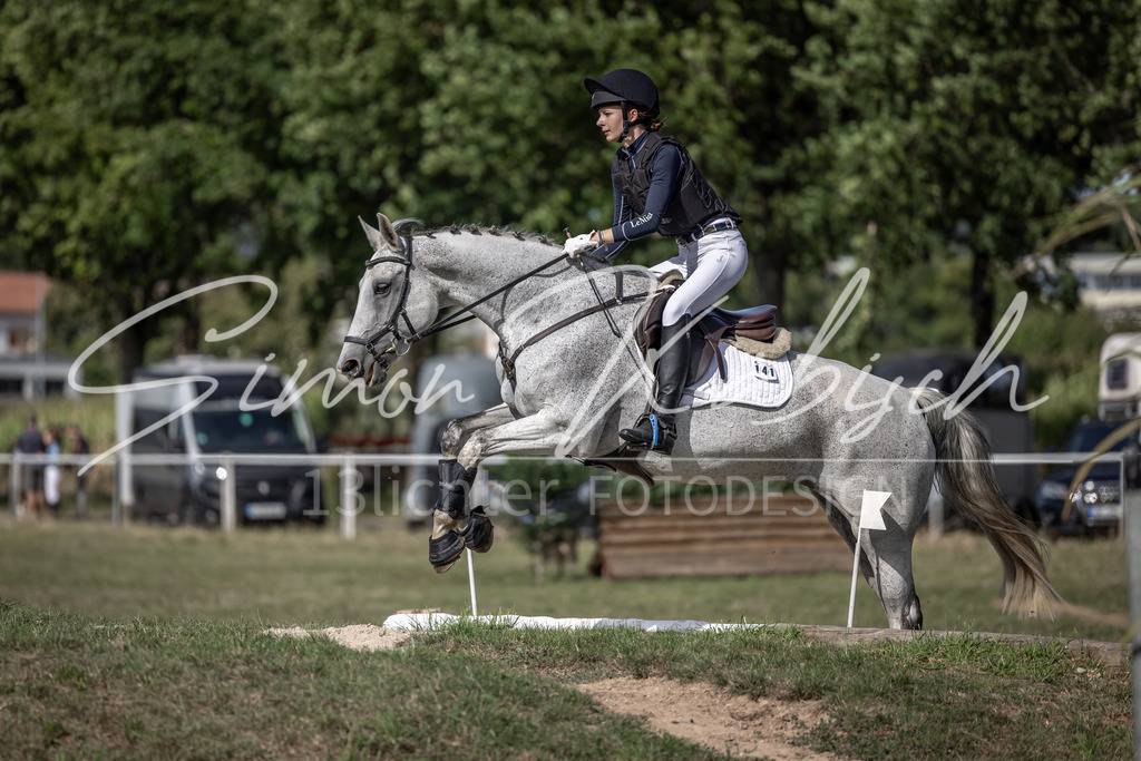 20250907-_3LI9648 | Tierfotografie Pferde, Hunde, Katzen, Haustiere.
Turnierfotografie Reitturniere, Reiten, Springreiten, Dressur in Hanau, dem Main-Kinzig-Kreis und dem Rhein-Main- Gebiet um Frankfurt