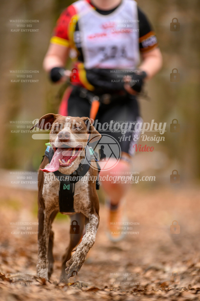 MompixPhotography_Habay2025_SA_CCC-273 | PayLife