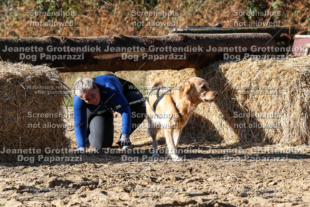Dog Paparazzi - Strongdog 10-25-2450 | Dog Paparazzi Jeanette Grottendiek Fotografie & Videografie - Realisiert mit Pictrs.com