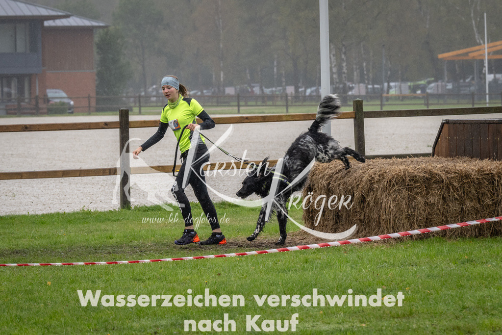 1256-92809 | kk-dogfotos