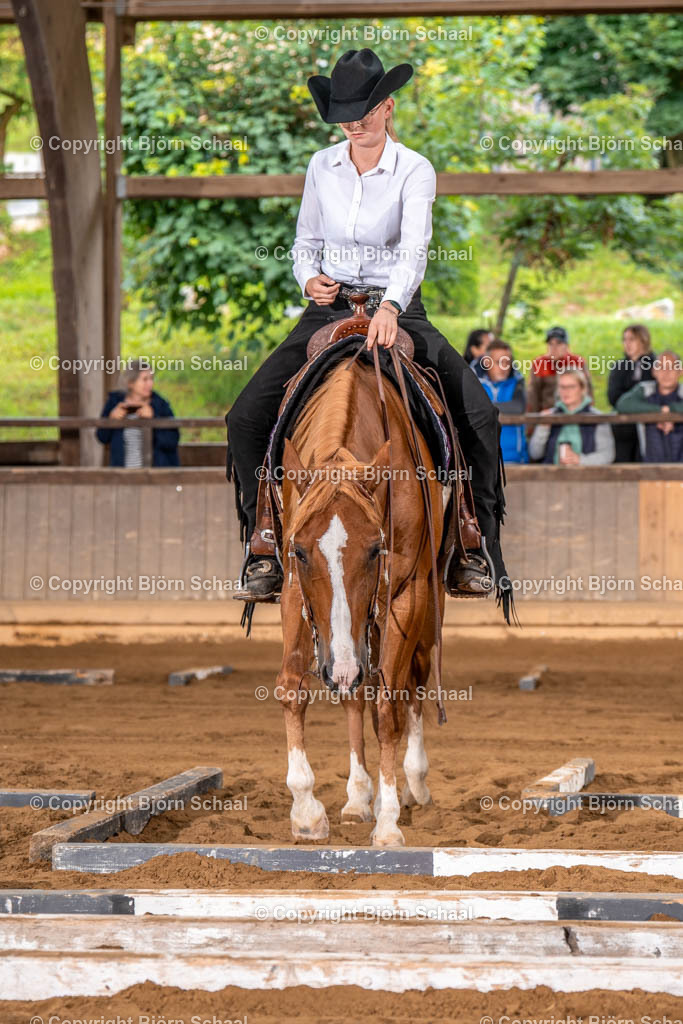 LMS02993 | BS-foto