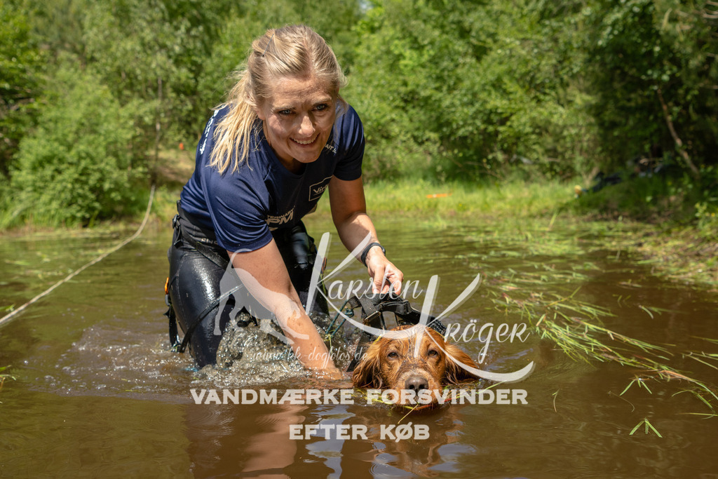 1237DKK993199 | kk-dogfotos