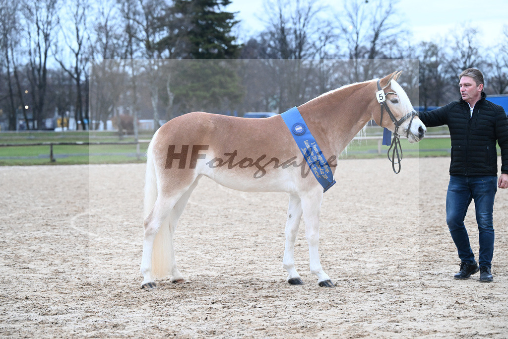 Bl. Band Kat-Nr. 5 Lady Cool v. Wetterstein_Gossner_48251988 | hf-fotografie - Realisiert mit Pictrs.com