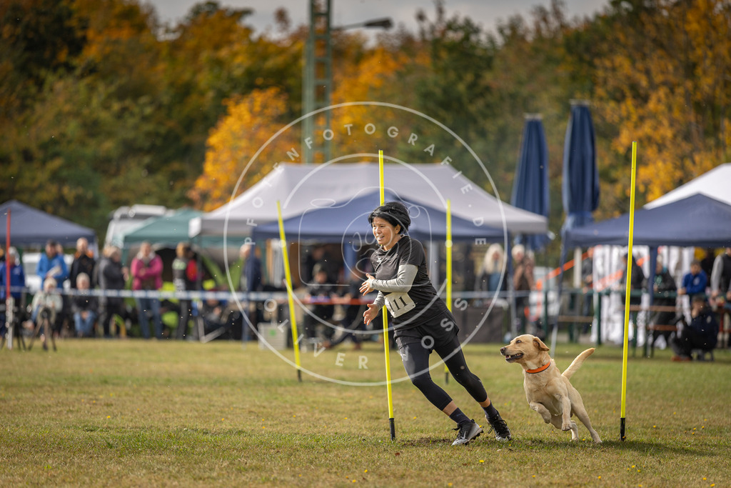 Pfotenfotografie_DV3A7130 | Hundefotografie, Tierfotograf, Pfotenfotografie, Fotoshooting Hund, Hunde Portrait, Hundesport, Hundeportraits, Heideshooting, Hunde, Sportfotograf, Hundefotograf, Turnierhundsport, THS,  - Realisiert mit Pictrs.com