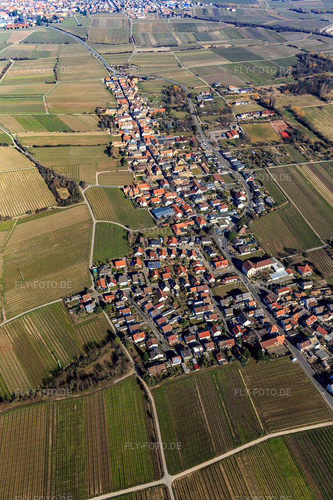 Luftbild: Ortsansicht aus Süden in Forst an der Weinstraße im Bundesland Rheinland-Pfalz in Deutschland. Foto: IMG_112797.jpg vom 27.02.2019 durch Werner Riehm/FLY-FOTO.de