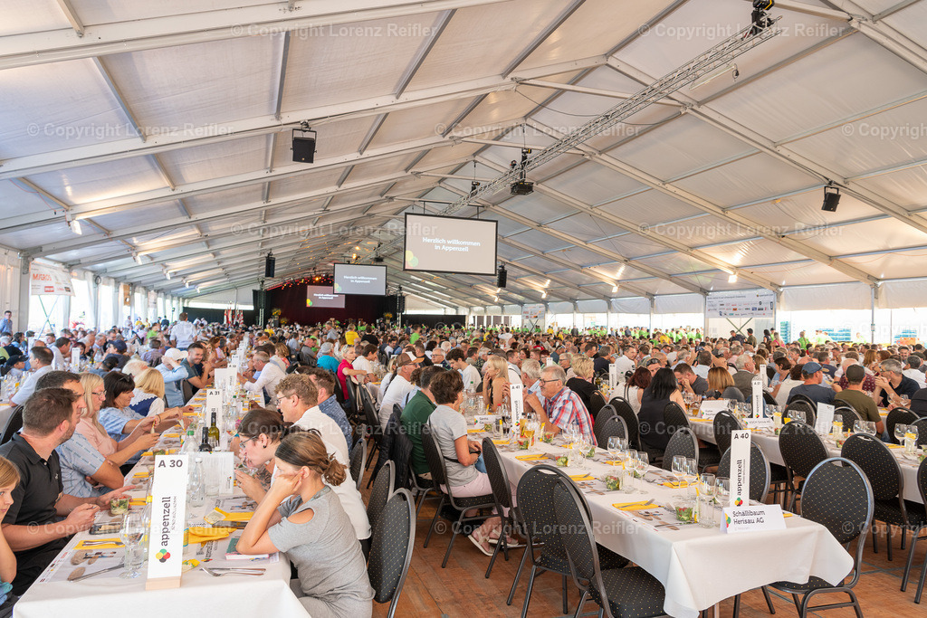 Schwingen -  Eidgenössisches Jubiläums-Schwingfest 2024 2024 | Appenzell, 7.9.24, Schwingen - Eidgenössisches Jubiläums-Schwingfest 2024.