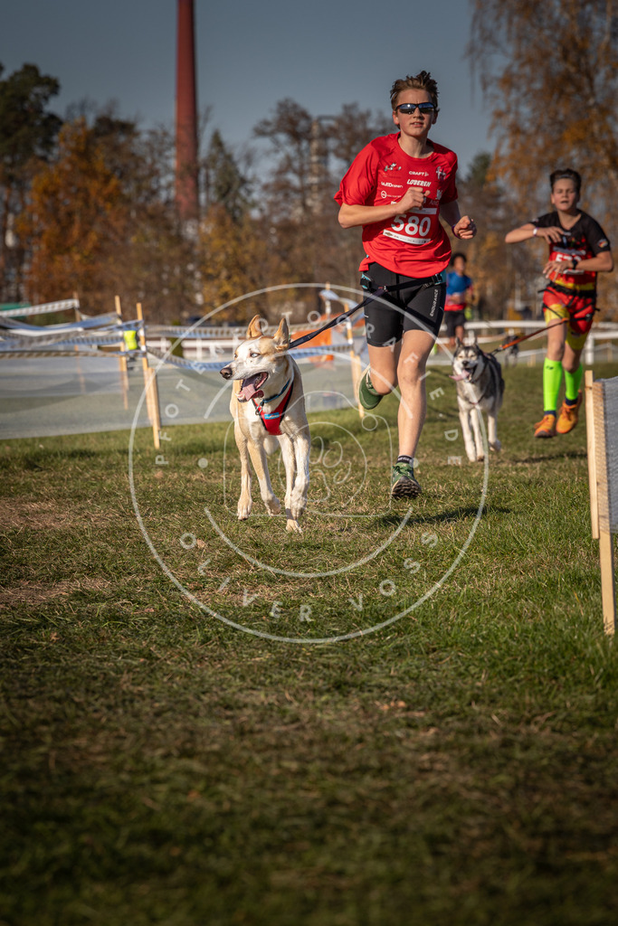 CaniXpix_0L8A8150 | Hundefotografie, Tierfotograf, Pfotenfotografie, Fotoshooting Hund, Hunde Portrait, Hundesport, Hundeportraits, Heideshooting, Hunde, Sportfotograf, Hundefotograf, Turnierhundsport, THS,  - Realisiert mit Pictrs.com