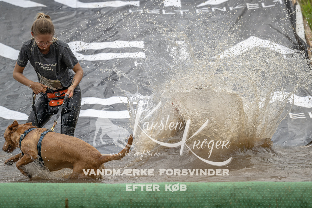 1552_ZZ91249 | kk-dogfotos