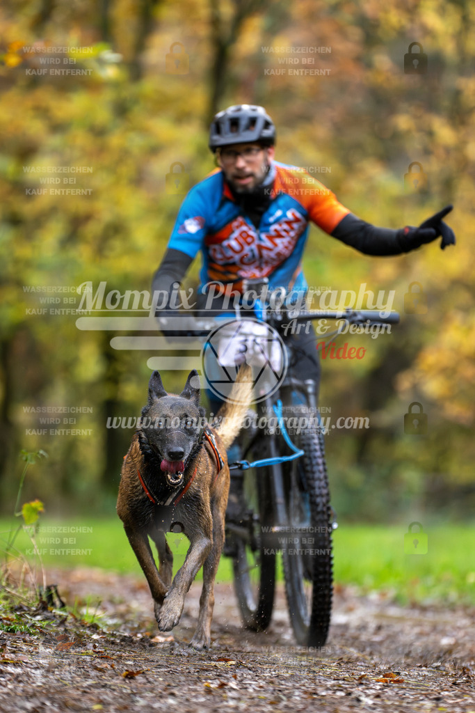 MompixPhotography_Bischwiller23_Bike-7 | PayLife