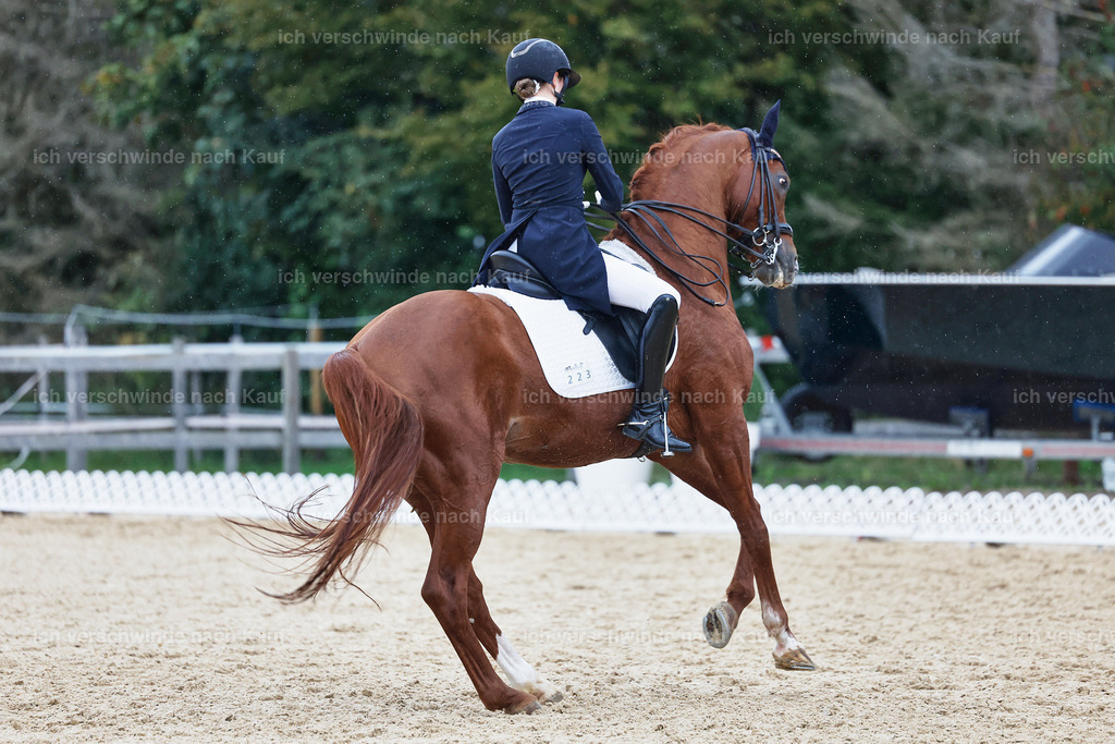 8_1-223-Klasse S_  -StoibPH-3952 | working equitationturnier fotograf videograf stoibphotography marixx film working equitation deutschland reitsport turnierfotografie eventfotografie equestrian events