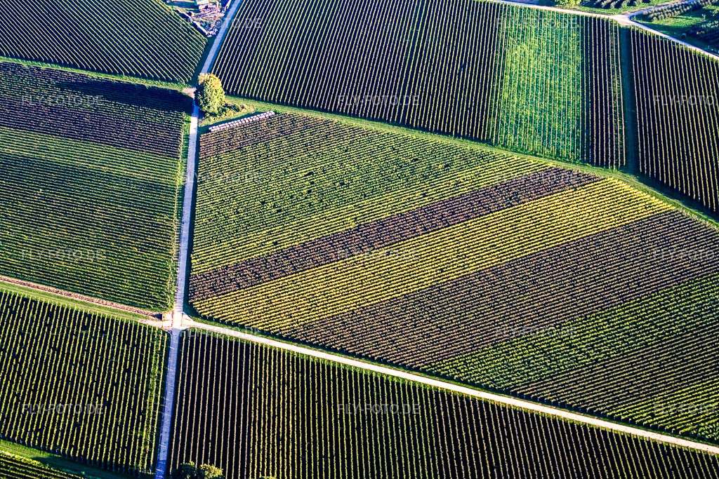 Rombenförmige Strukturen von Wegen und Weinbergen mit verschieden gefärbten Reihen von Reben | Luftbild: Rombenförmige Strukturen von Wegen und Weinbergen mit verschieden gefärbten Reihen von Reben in Göcklingen im Bundesland Rheinland-Pfalz in Deutschland. Foto: IMG_13709.jpg vom 28.09.2008 durch Werner Riehm/FLY-FOTO.de - Realisiert mit Pictrs.com