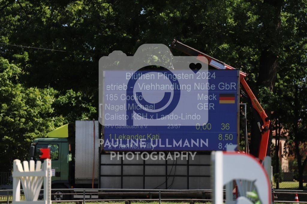 IMG_6175 | Pauline Ullmann Photography - Realisiert mit Pictrs.com