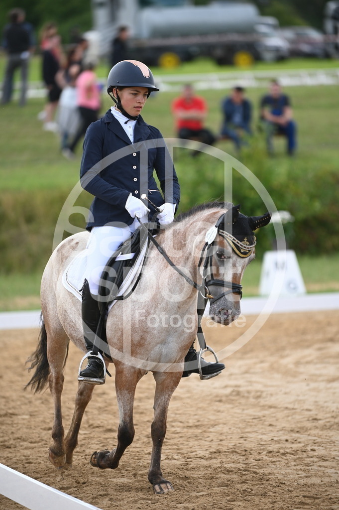 DSC_6250 | sattelsport - Realisiert mit Pictrs.com