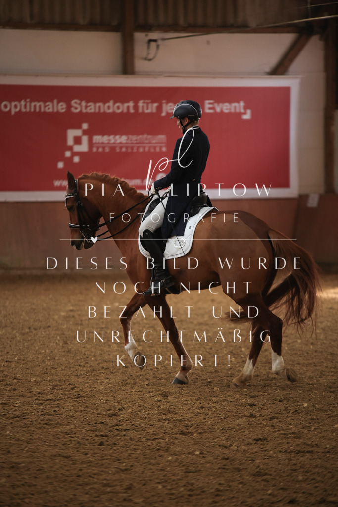 IMGT4588 | pl-fotografie