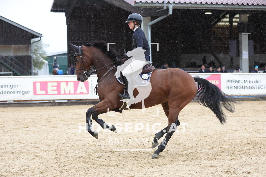 0P6A8245 | Willkommen bei Brunnmayr - Design & Fotografie – Ihrem Spezialisten für Reitturniere und Pferdeveranstaltungen in Oberösterreich, Salzburg und Bayern! Seit über 17 Jahren sind wir leidenschaftlich dabei.