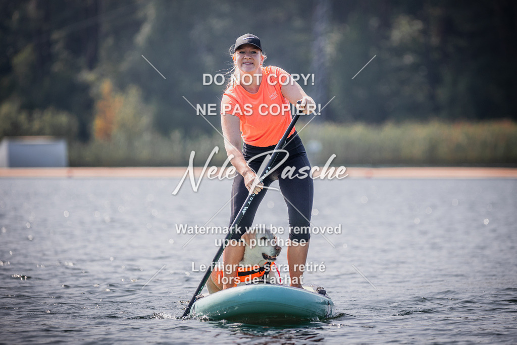 BUHU_SUP_410 | nelerasche
