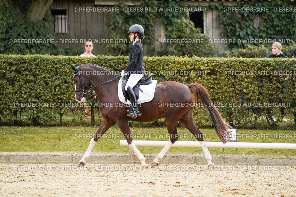 DSC00827 | Pferdegrafie