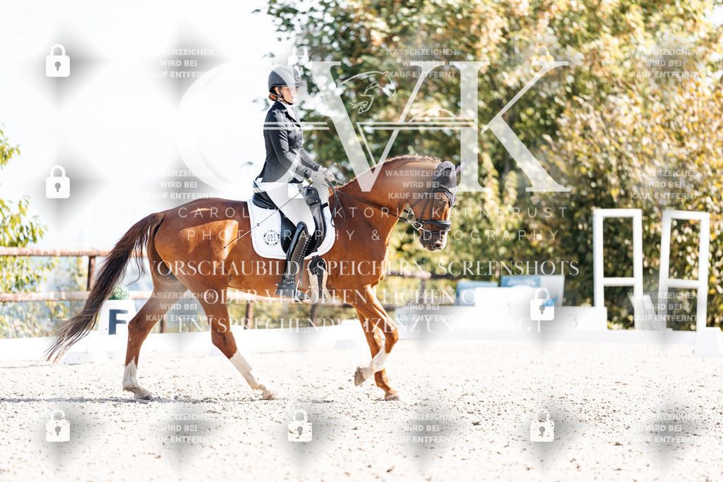 CK902230 | Turnierfotografie Pferdefotografie Trier Rheinland-Pfalz Pferdesport Reitsport Tierfotografie Sportfotografie Pferdevideo Pferdevideografie Equestrianvideography equestrianphotography  - Realisiert mit Pictrs.com