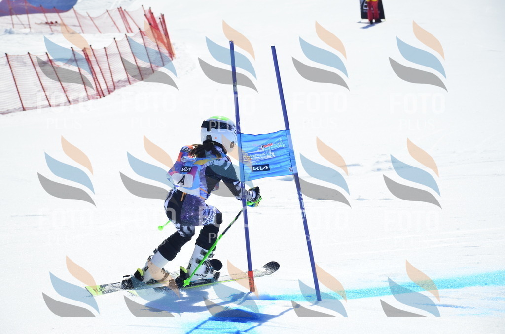 _ELE9660 | holidayphoto