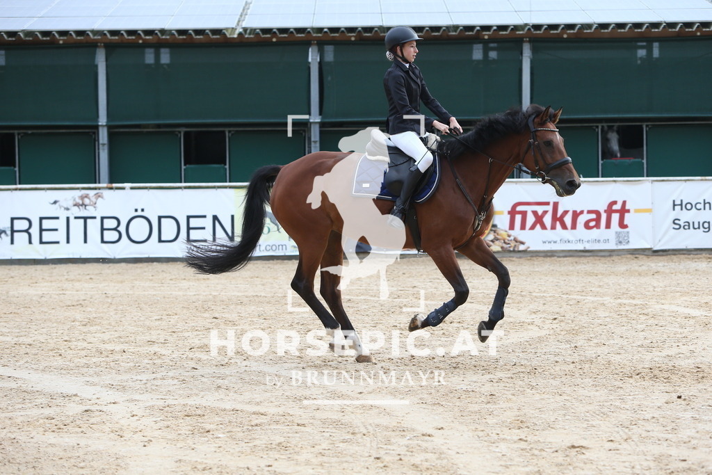 DL2Q0132 | Willkommen bei Brunnmayr - Design & Fotografie – Ihrem Spezialisten für Reitturniere und Pferdeveranstaltungen in Oberösterreich, Salzburg und Bayern! Seit über 17 Jahren sind wir leidenschaftlich dabei.