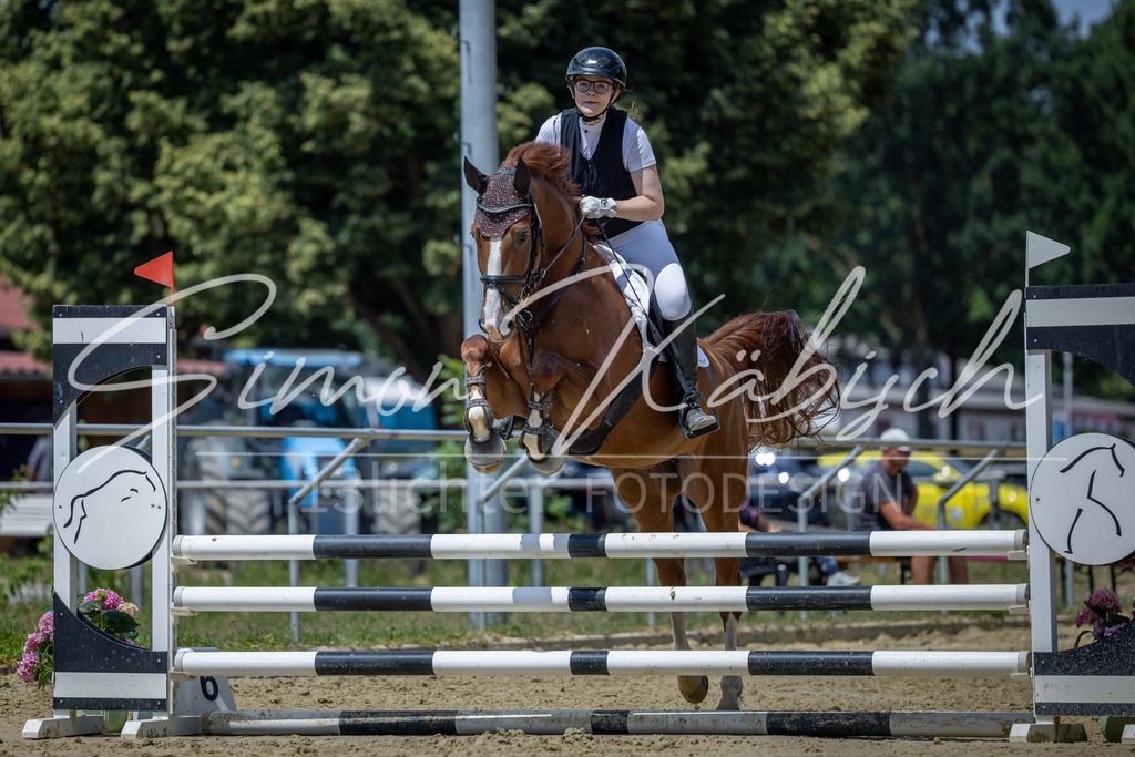 20260704-_3LI8760 | Tierfotografie Pferde, Hunde, Katzen, Haustiere.
Turnierfotografie Reitturniere, Reiten, Springreiten, Dressur in Hanau, dem Main-Kinzig-Kreis und dem Rhein-Main- Gebiet um Frankfurt