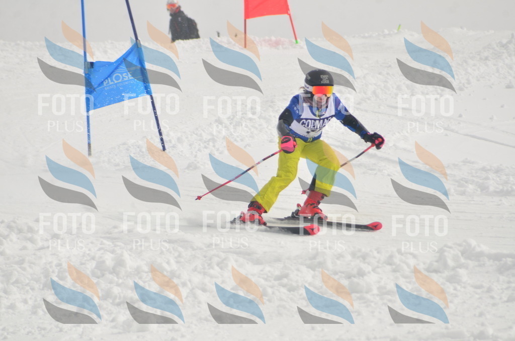 A5583 | holidayphoto