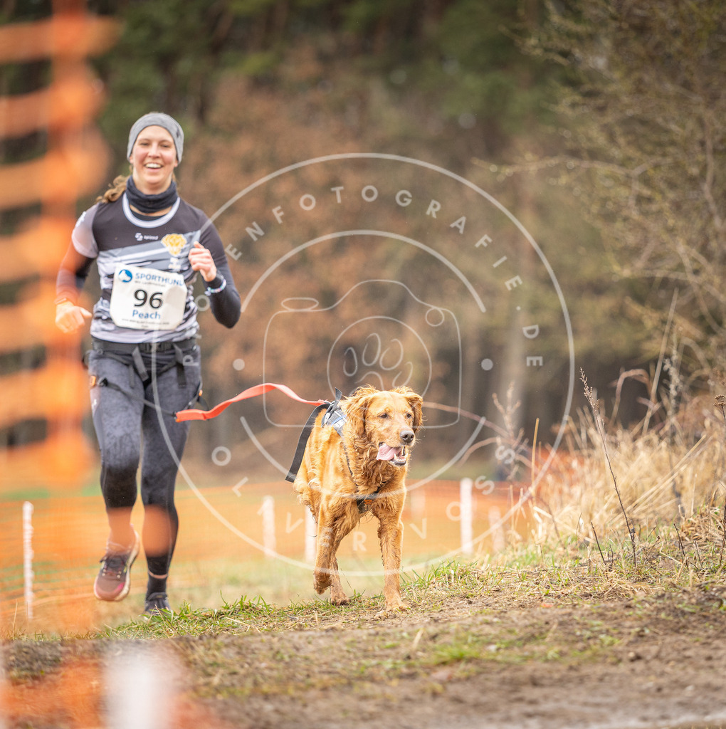 DV3A0551 | Hundefotografie, Tierfotograf, Pfotenfotografie, Fotoshooting Hund, Hunde Portrait, Hundesport, Hundeportraits, Heideshooting, Hunde, Sportfotograf, Hundefotograf, Turnierhundsport, THS,  - Realisiert mit Pictrs.com