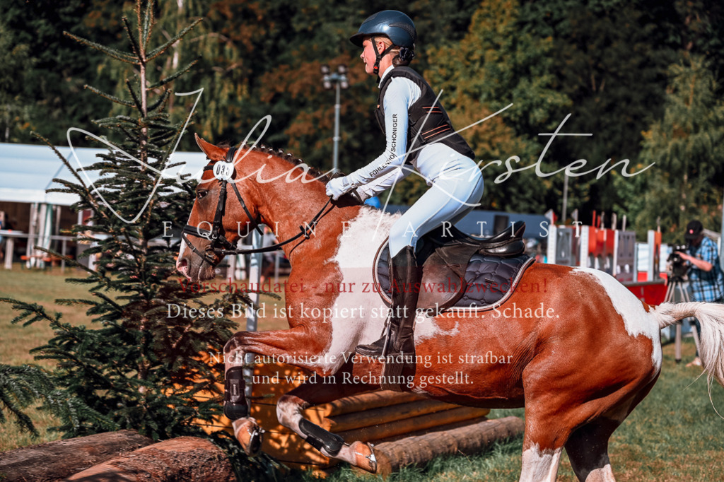 DSC_1045 | Pferde- und Turnierfotografie in Westsachsen. Pferdeportraits, Auftragszeichnungen und intuitive Kunst.