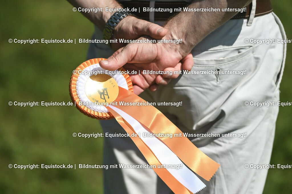 20230909_22_Springen_M_0166 | Foto: Thomas Hartig