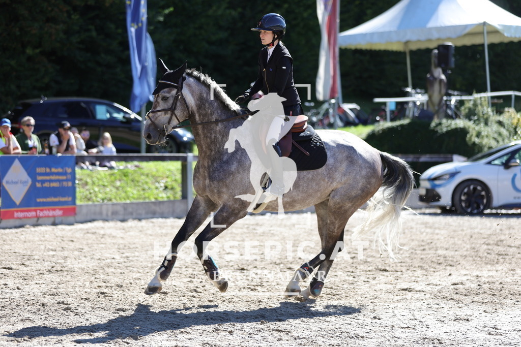 0P6A5249 | Willkommen bei Brunnmayr - Design & Fotografie – Ihrem Spezialisten für Reitturniere und Pferdeveranstaltungen in Oberösterreich, Salzburg und Bayern! Seit über 17 Jahren sind wir leidenschaftlich dabei.