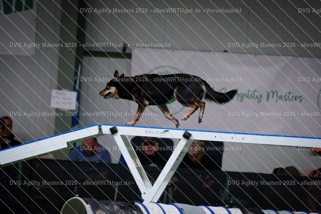 allesWIRTHgut_Tierfotografie-DVG_Agility_Masters_2026-16_35-7R508192 | Professionelle Tierfotografie in Mönchengladbach von Daniel Wirth (allesWIRTHgut). Liebevolle & natürliche Bilder von Hunden & Katzen für unvergessliche Erinnerungen.