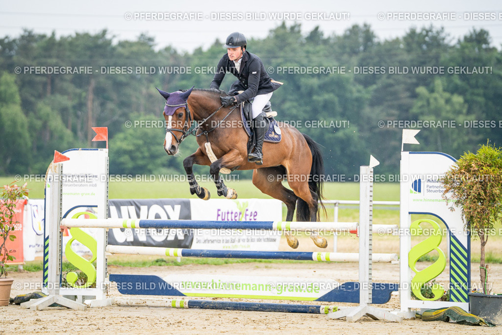 DSC09355 | Pferdegrafie