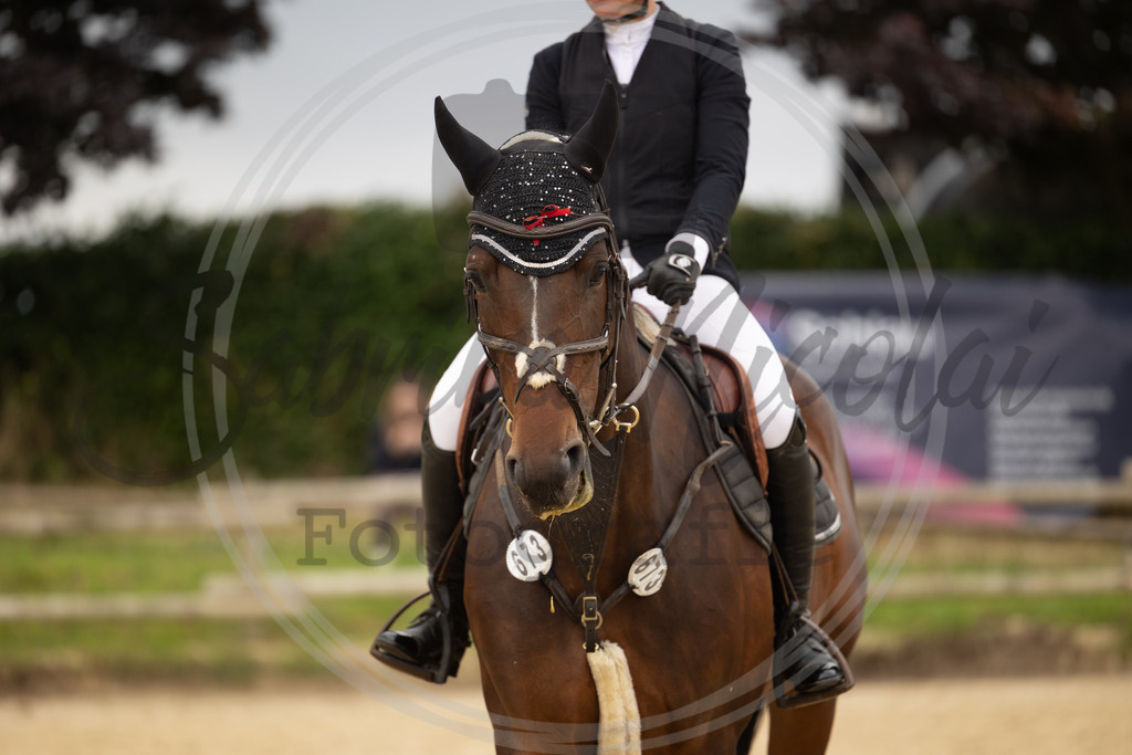 994A7230 | sabrinanicolaifotografie - Realisiert mit Pictrs.com