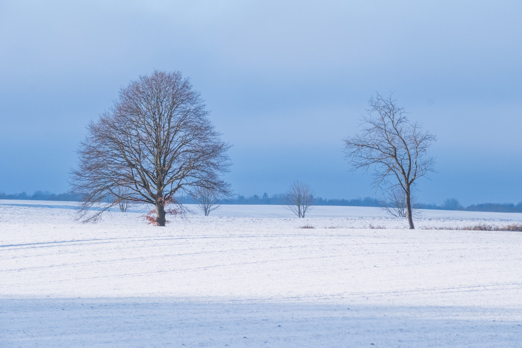 DSCF7617 | Entdecken Sie hochwertige Fotoprodukte für Ihr Zuhause, Büro oder als besonderes Geschenk.rpixel.de bietet Ihnen exklusive Fotografien aus den Bereichen Natur, Landschaft und Motiven vom Meer.Einfach direkt im Online-Shop bestellen. - Realisiert mit Pictrs.com